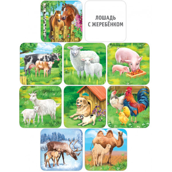 Набор обучающих карточек (978) 15.12.00013 Домашние животные и их детеныши